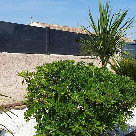 La Villa de l'Olivier piscine privée et parking Carcassonne Extérieur photo