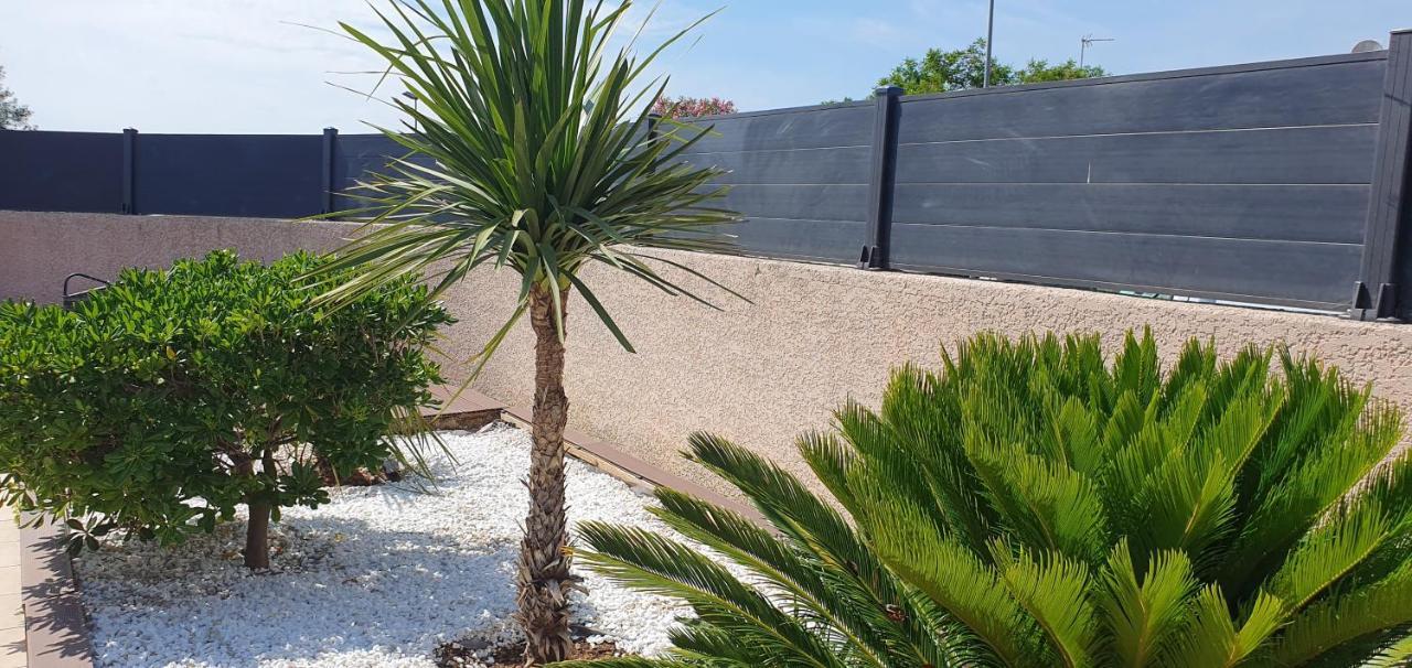 La Villa de l'Olivier piscine privée et parking Carcassonne Extérieur photo