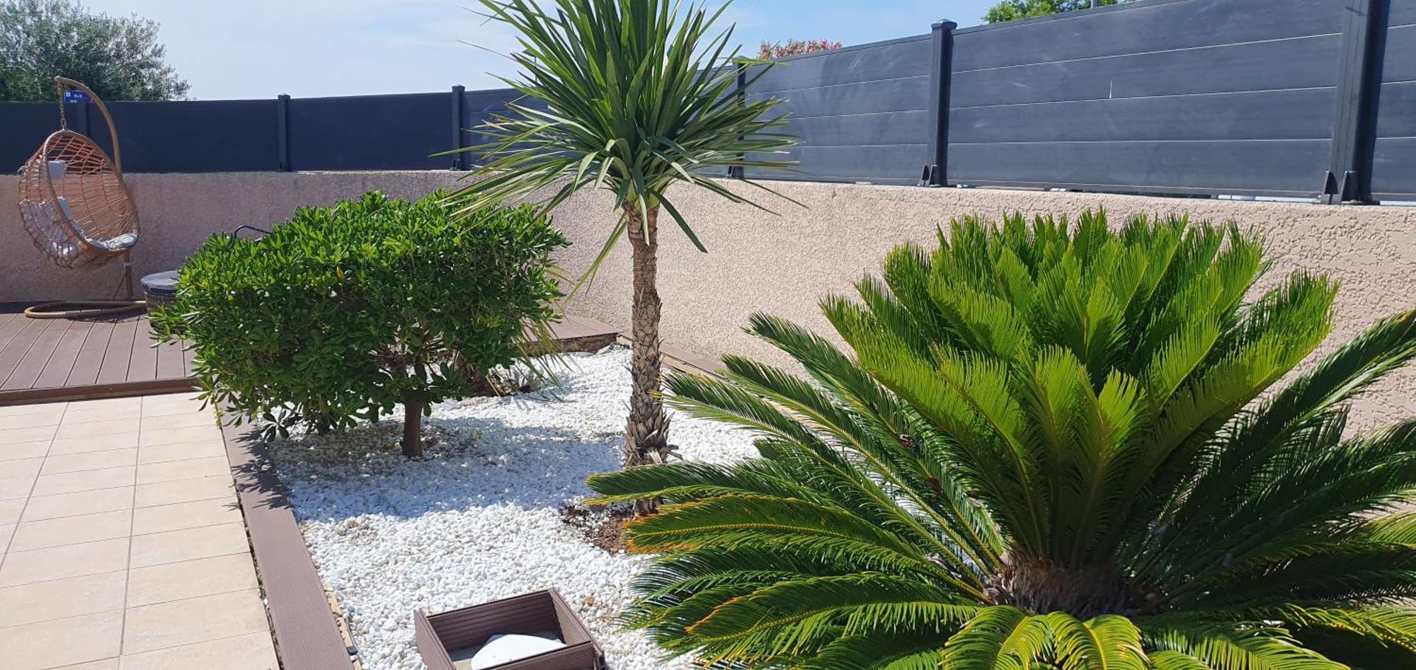 La Villa de l'Olivier piscine privée et parking Carcassonne Extérieur photo